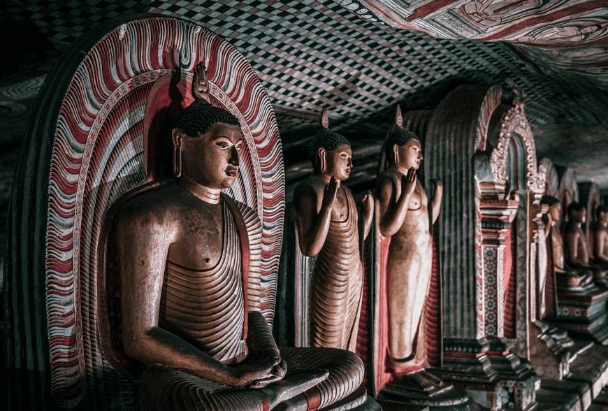 Viderer voluptatum te eum