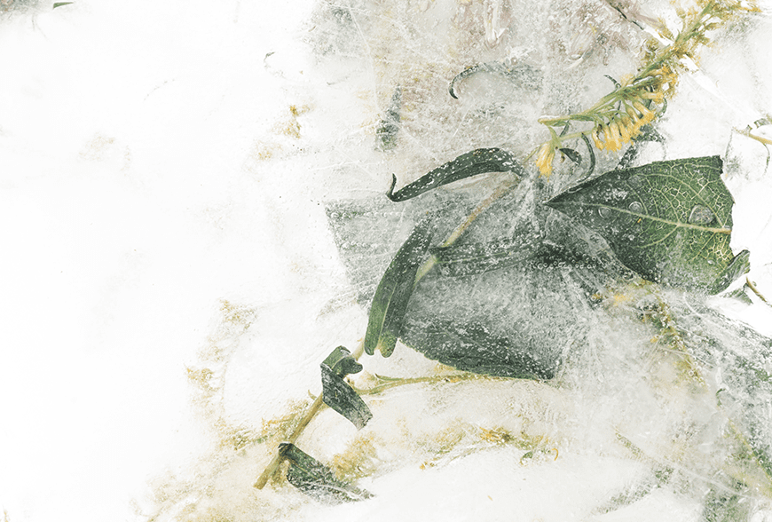 Artem - Digital Marketing campaign